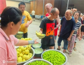 新鲜水果